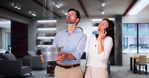 Best Flooded house restoration  in Elkins, AR
